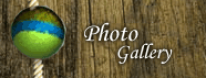 Photo Gallery of Schooner Wharf Bar in Key West Florida