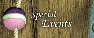 Special events at the Schooner Wharf Bar in Key West